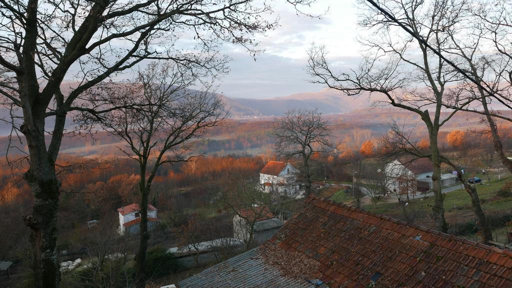 Apartments Cvitini Dvori Garjak Vrlika Екстериор снимка